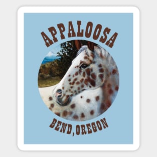 Appaloosa from Bend, Oregon Magnet